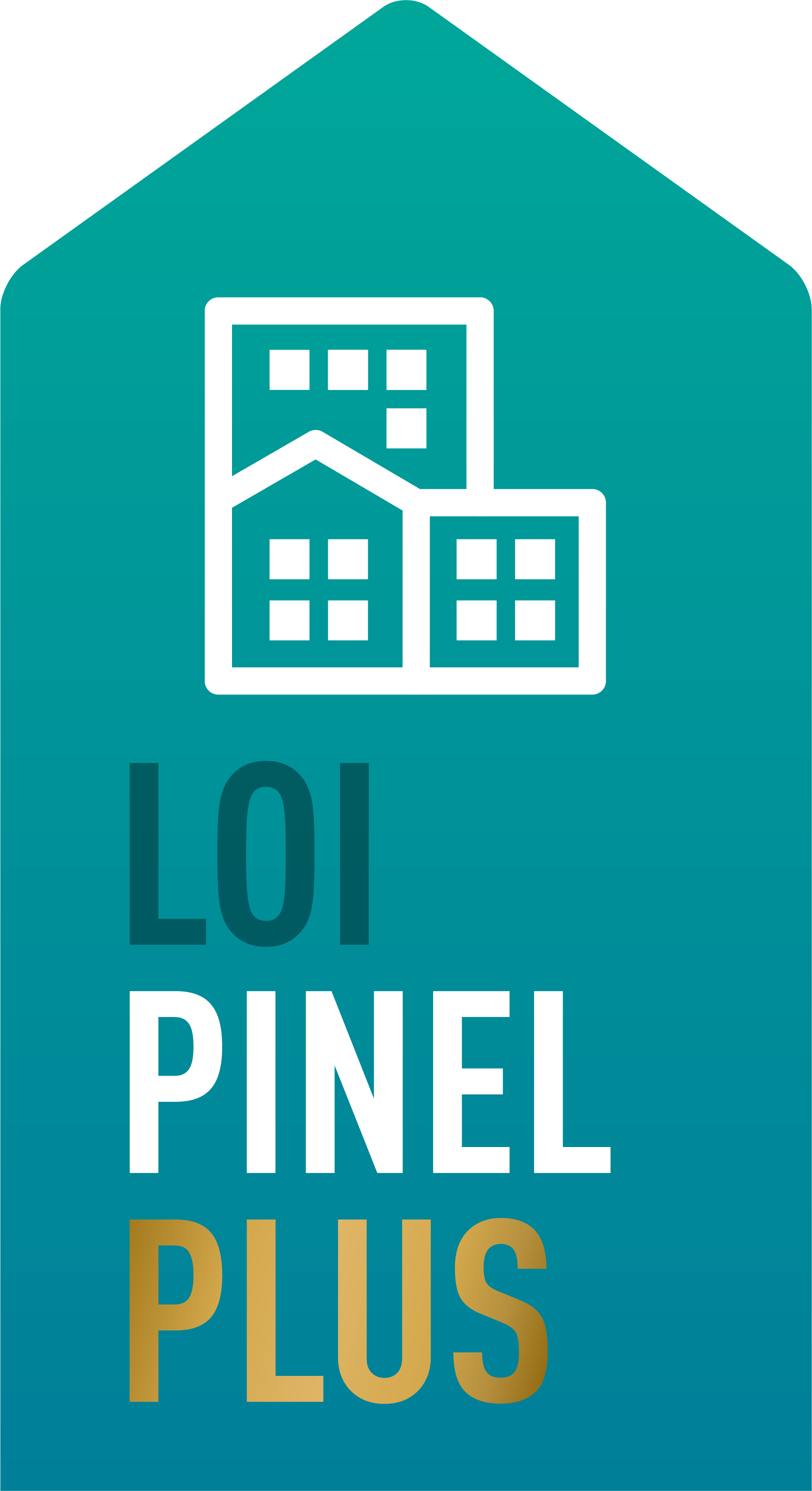 picto-loi pinel-plus.png